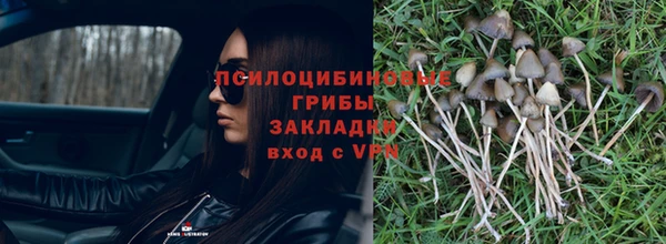 мефедрон мука Заводоуковск