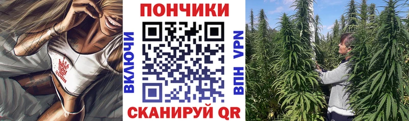 Канабис сатива Белая Холуница